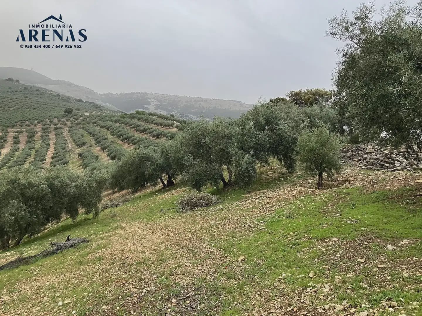 Ubebygd land til salgs i Illora - € 15 000 (Ref: 10047779)