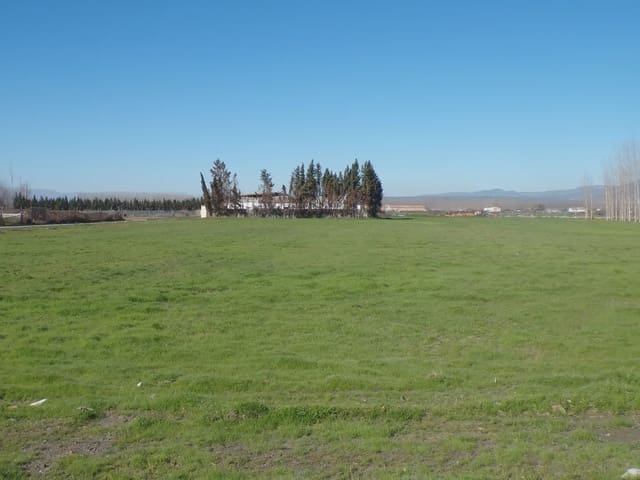 Landgrundstück zu verkaufen in Fuente Vaqueros - 25.000 € (Ref: 10047780)
