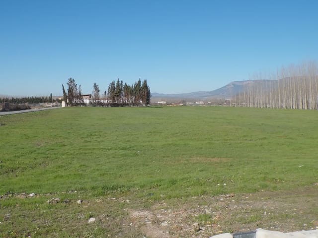 Landgrundstück zu verkaufen in Fuente Vaqueros - 25.000 € (Ref: 10047780)