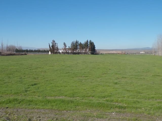 Landgrundstück zu verkaufen in Fuente Vaqueros - 25.000 € (Ref: 10047780)