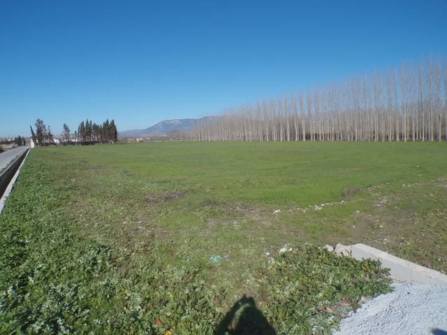 Landgrundstück zu verkaufen in Fuente Vaqueros - 25.000 € (Ref: 10047780)