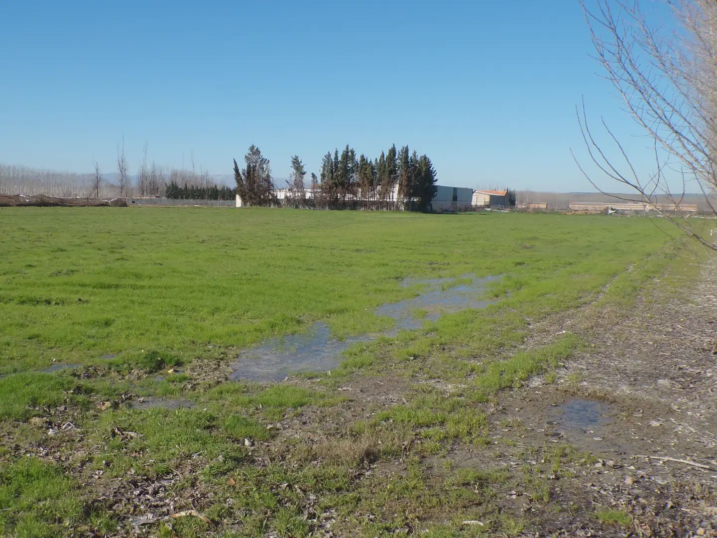 Landgrundstück zu verkaufen in Fuente Vaqueros - 25.000 € (Ref: 10047780)