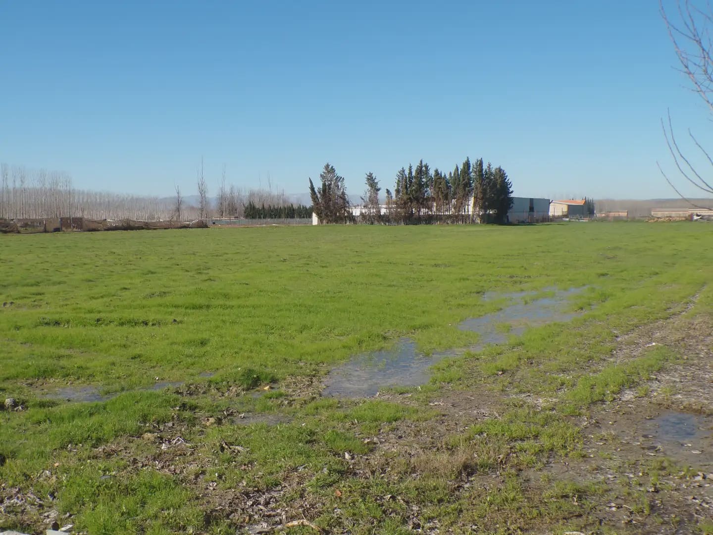 Landgrundstück zu verkaufen in Fuente Vaqueros - 25.000 € (Ref: 10047780)