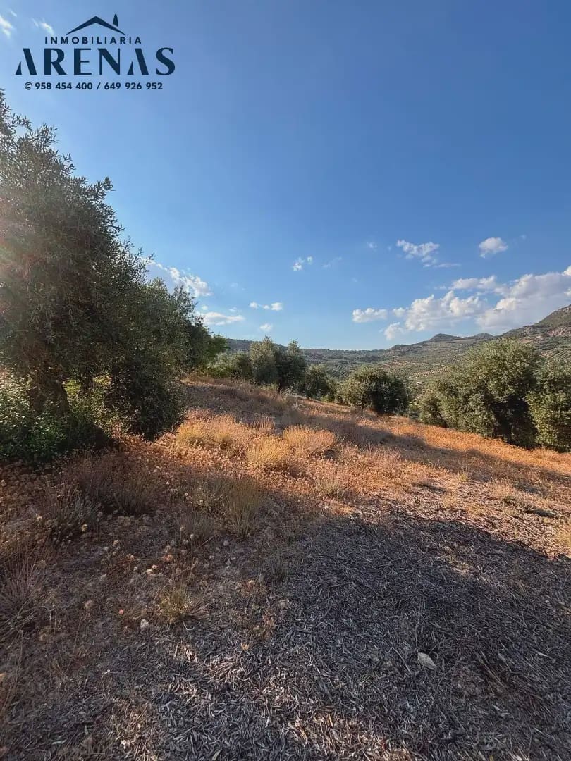 Landgrundstück zu verkaufen in Illora - 12.000 € (Ref: 10047781)