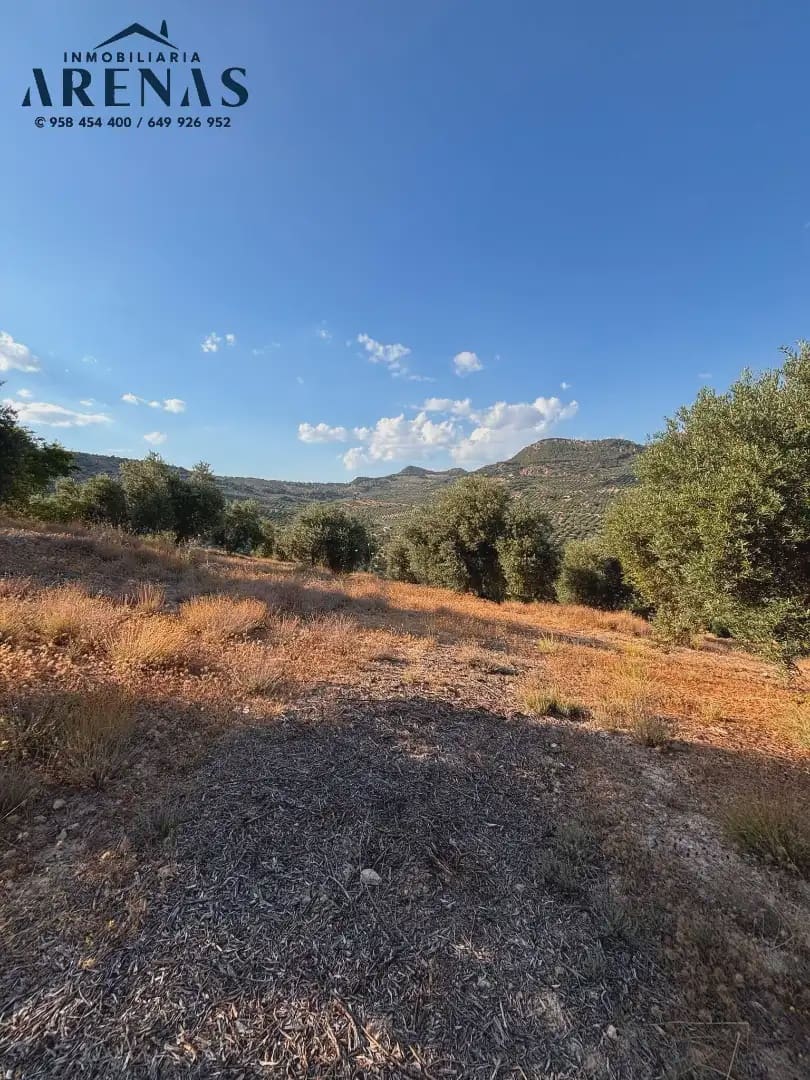Landgrundstück zu verkaufen in Illora - 12.000 € (Ref: 10047781)