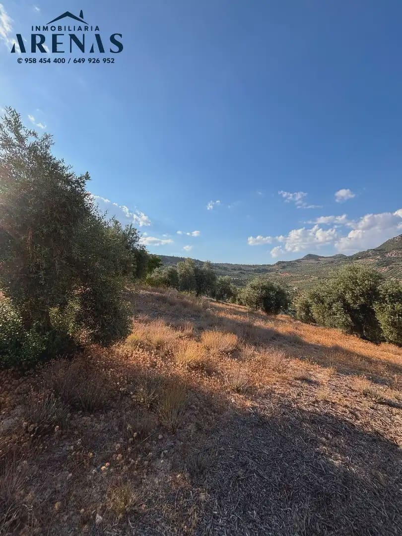 Landgrundstück zu verkaufen in Illora - 12.000 € (Ref: 10047781)