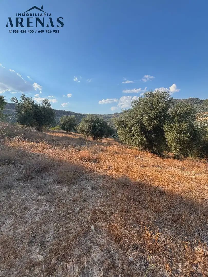 Landgrundstück zu verkaufen in Illora - 12.000 € (Ref: 10047781)