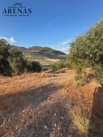 Ubebygd land til salgs i Illora - € 12 000 (Ref: 10047781)
