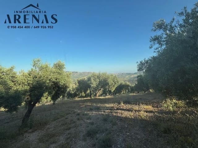 Ubebygd land til salgs i Illora - € 90 000 (Ref: 10047782)