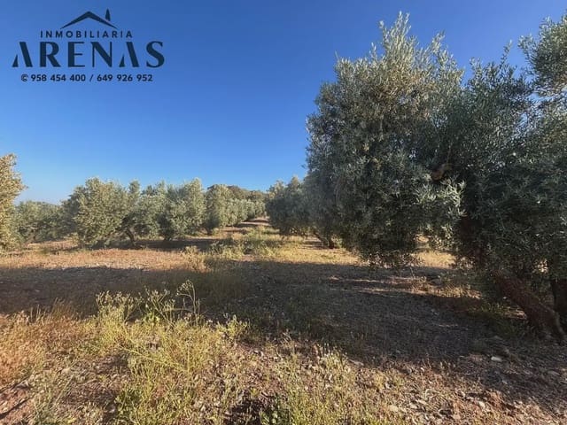 Ubebygd land til salgs i Illora - € 90 000 (Ref: 10047782)