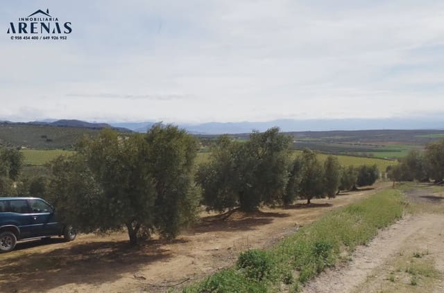 Ubebygd land til salgs i Alomartes, Illora - € 30 000 (Ref: 10047801)