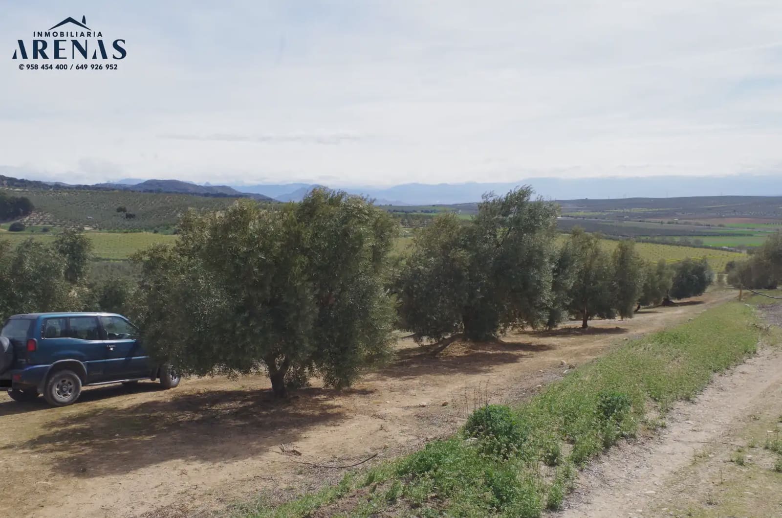 Ubebygd land til salgs i Illora - € 30 000 (Ref: 10047801)