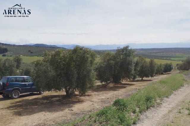 Ubebygd land til salgs i Alomartes, Illora - € 30 000 (Ref: 10047801)