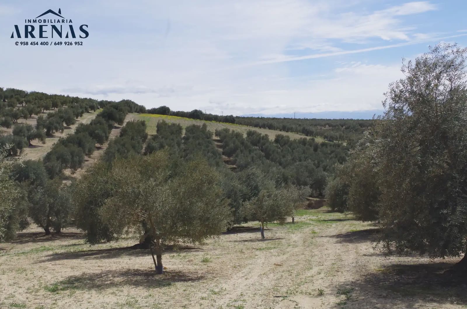 Landgrundstück zu verkaufen in Illora - 30.000 € (Ref: 10047802)