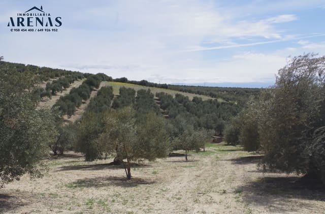 Ubebygd land til salgs i Alomartes, Illora - € 30 000 (Ref: 10047802)