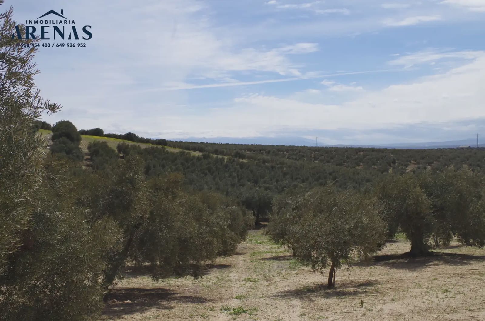 Landgrundstück zu verkaufen in Illora - 30.000 € (Ref: 10047802)