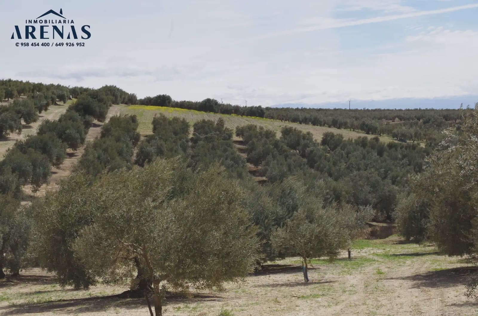 Landgrundstück zu verkaufen in Illora - 30.000 € (Ref: 10047802)