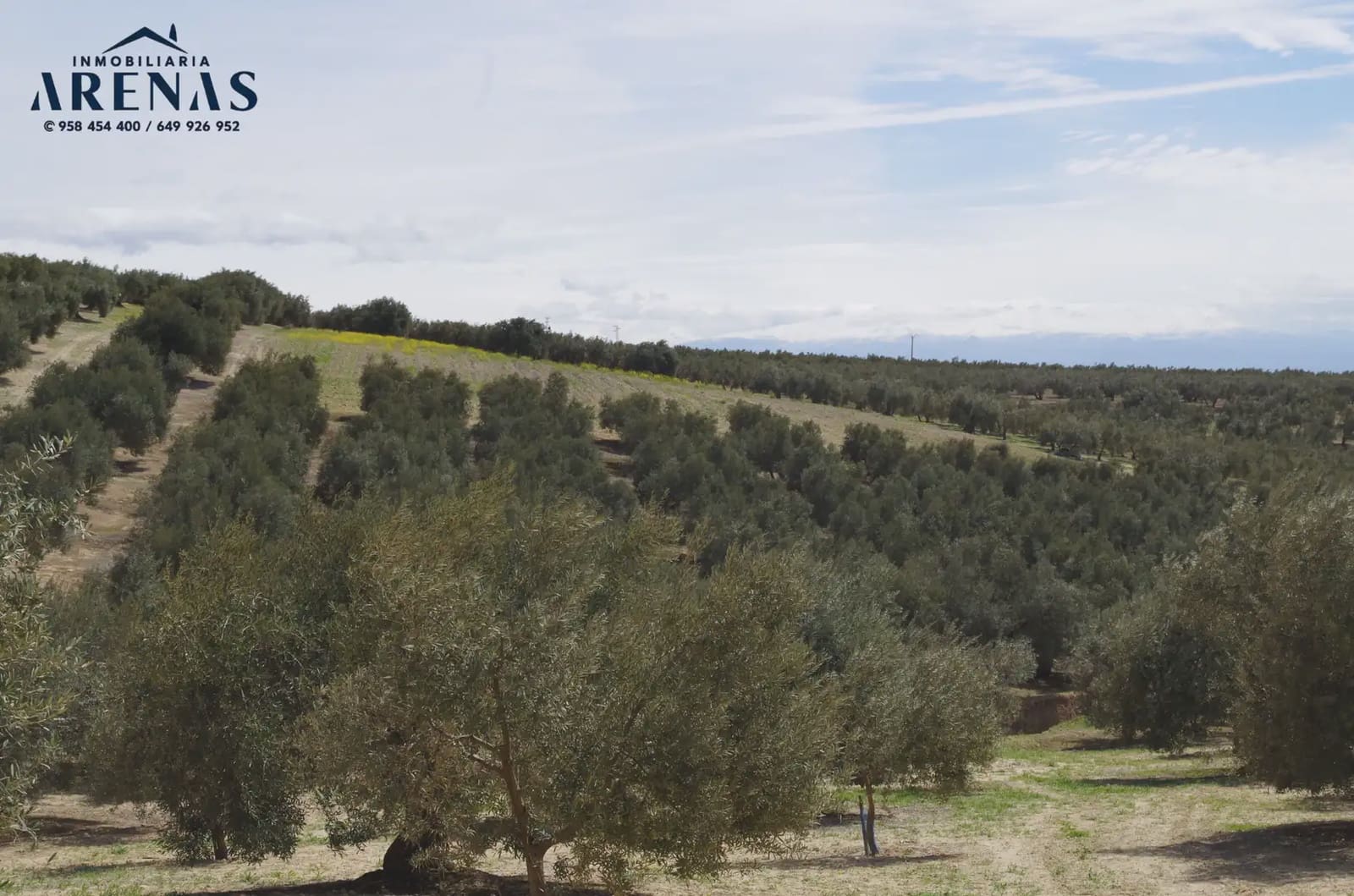 Landgrundstück zu verkaufen in Illora - 30.000 € (Ref: 10047802)