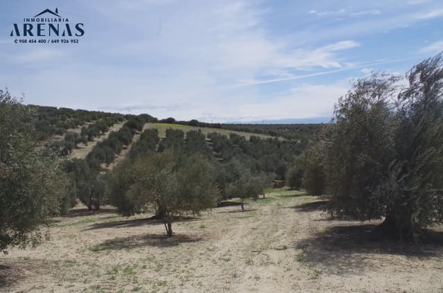 Ubebygd land til salgs i Alomartes, Illora - € 30 000 (Ref: 10047802)