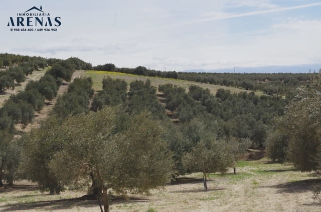 Ubebygd land til salgs i Alomartes, Illora - € 30 000 (Ref: 10047802)