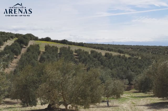 Ubebygd land til salgs i Alomartes, Illora - € 30 000 (Ref: 10047802)
