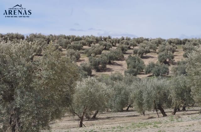 Ubebygd land til salgs i Illora - € 26 000 (Ref: 10047803)