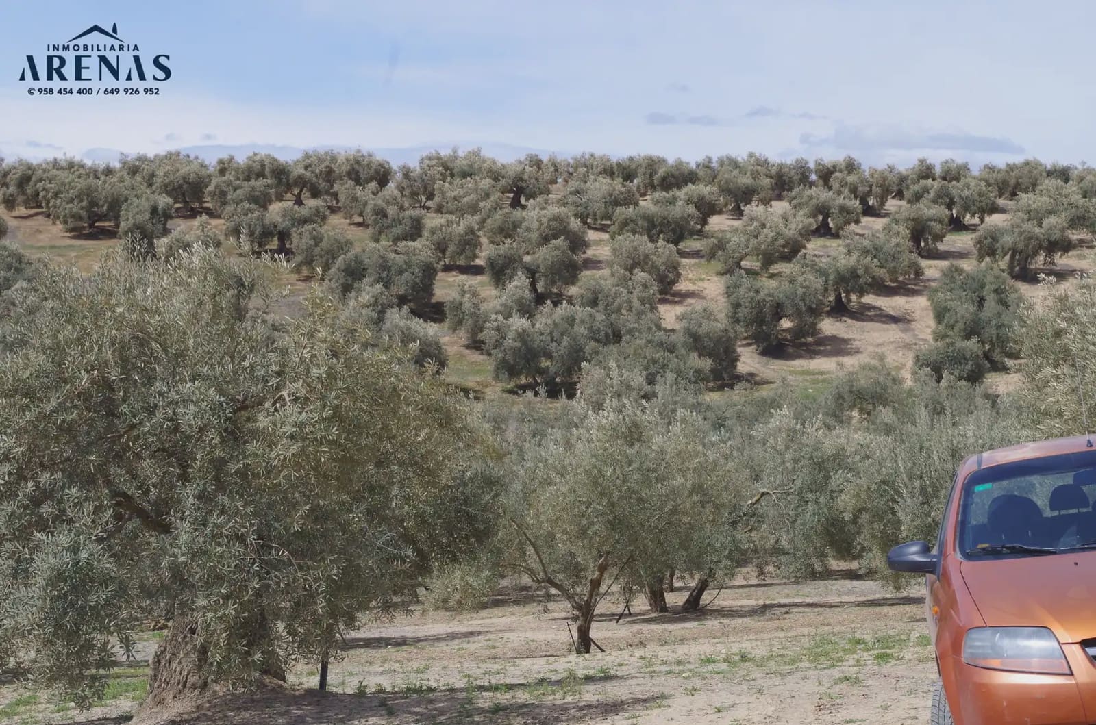 Landgrundstück zu verkaufen in Illora - 26.000 € (Ref: 10047803)