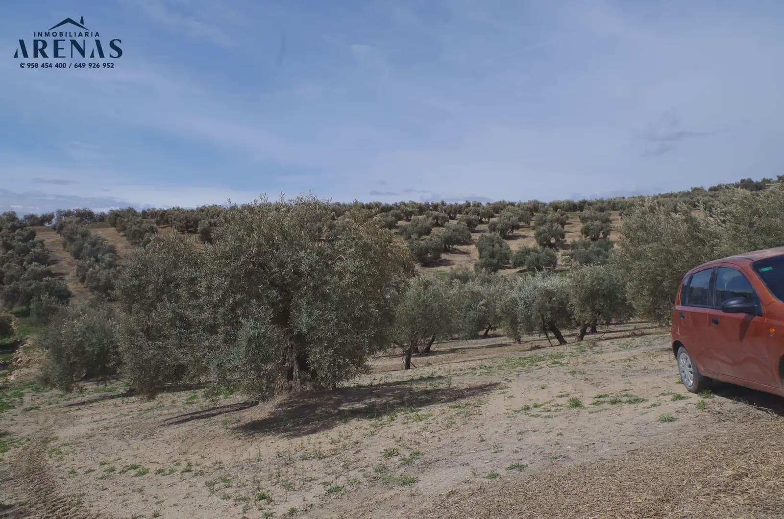Landgrundstück zu verkaufen in Illora - 26.000 € (Ref: 10047803)