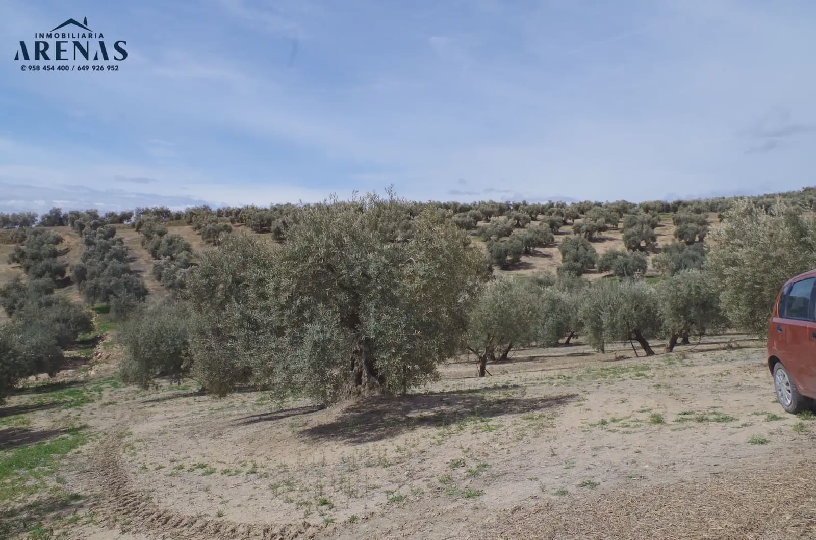 Landgrundstück zu verkaufen in Illora - 26.000 € (Ref: 10047803)