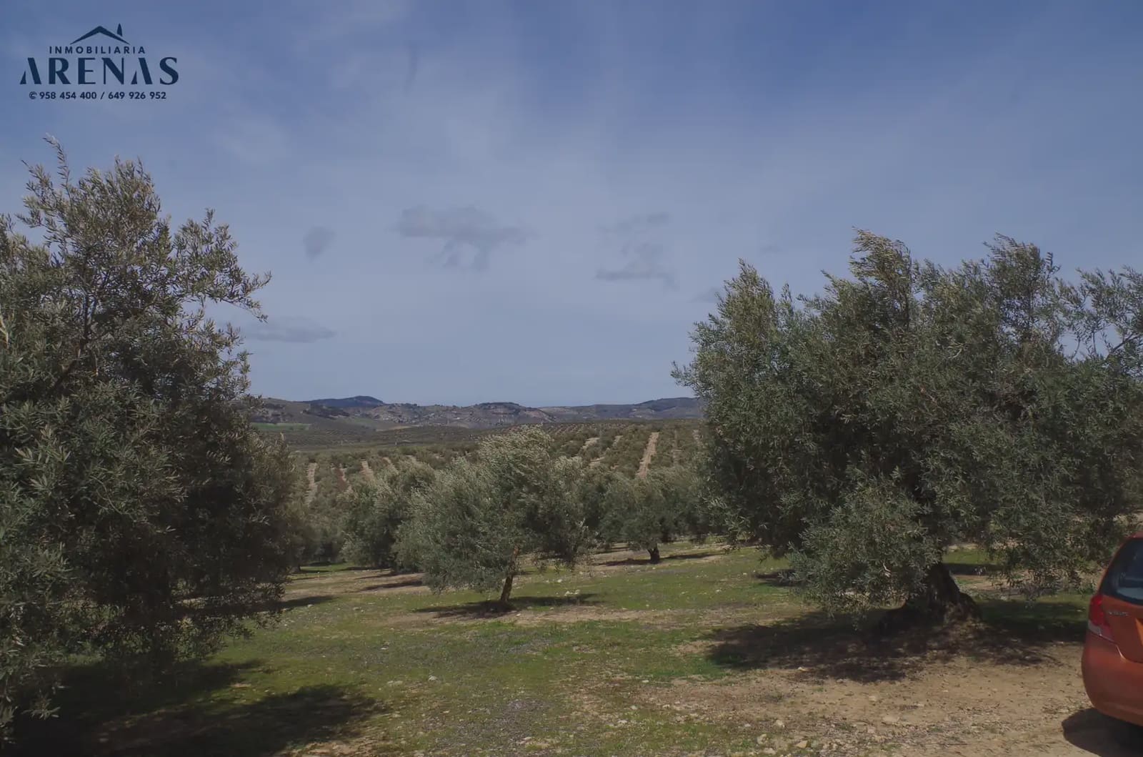 Landgrundstück zu verkaufen in Illora - 26.000 € (Ref: 10047803)