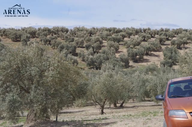 Ubebygd land til salgs i Illora - € 26 000 (Ref: 10047803)