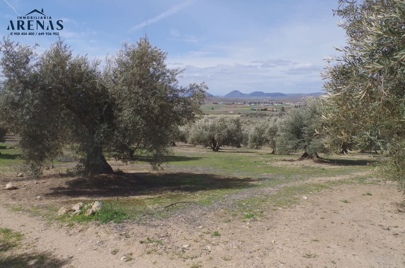 Landgrundstück zu verkaufen in Illora - 26.000 € (Ref: 10047803)