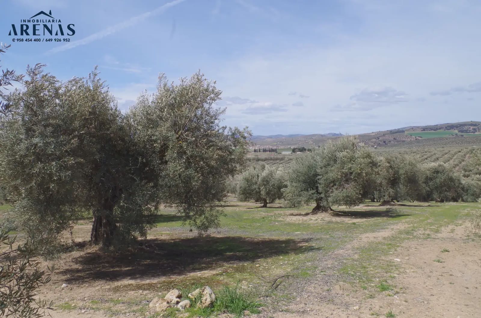 Landgrundstück zu verkaufen in Illora - 26.000 € (Ref: 10047803)