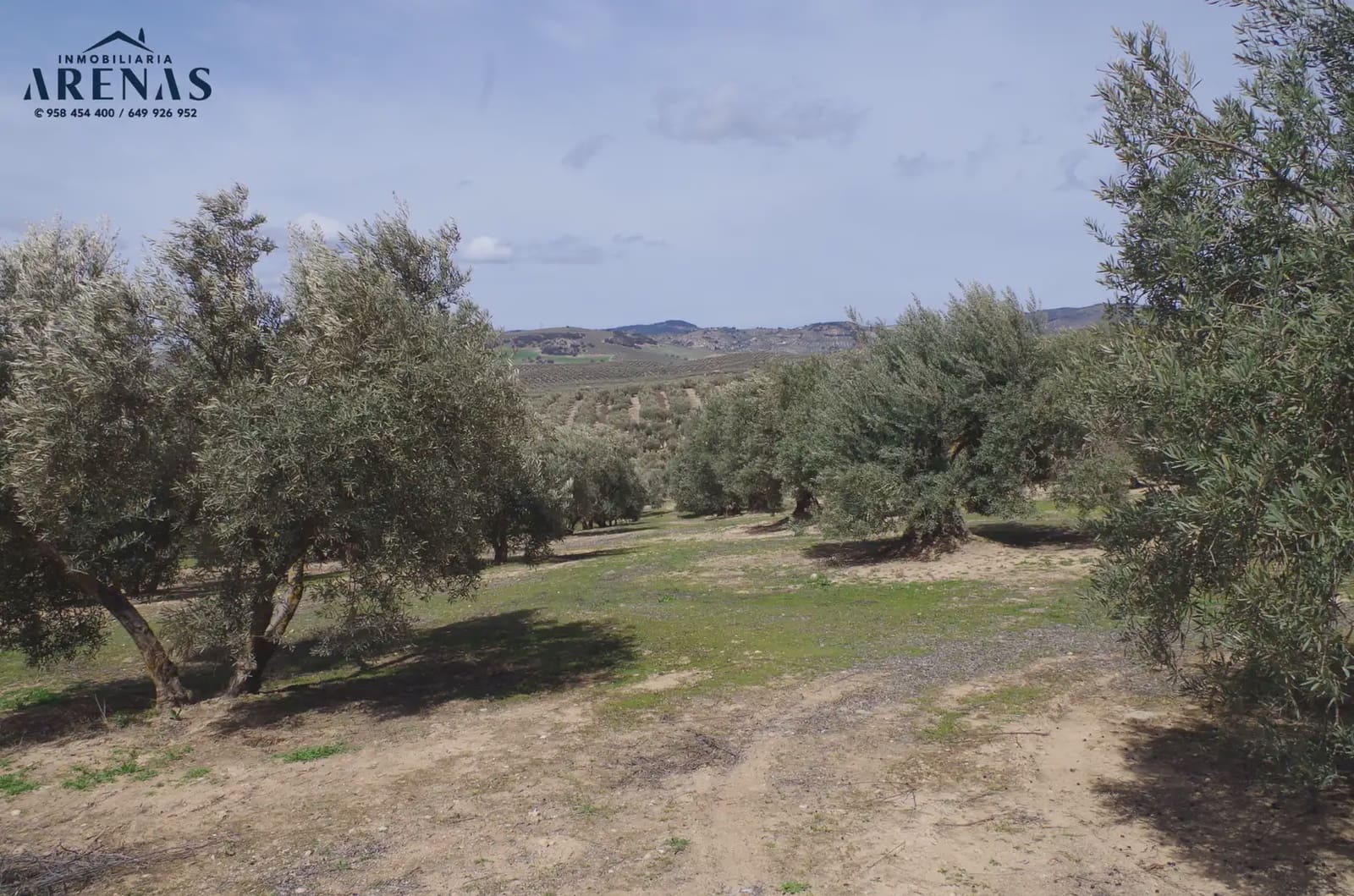 Landgrundstück zu verkaufen in Illora - 26.000 € (Ref: 10047803)
