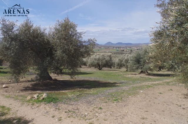 Ubebygd land til salgs i Illora - € 26 000 (Ref: 10047803)