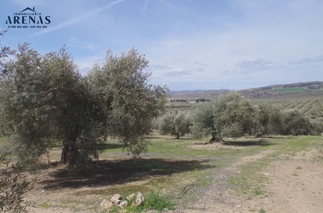 Ubebygd land til salgs i Illora - € 26 000 (Ref: 10047803)