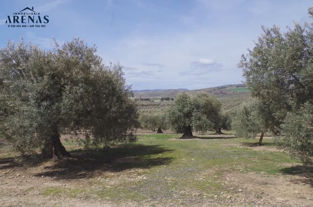 Ubebygd land til salgs i Illora - € 26 000 (Ref: 10047803)
