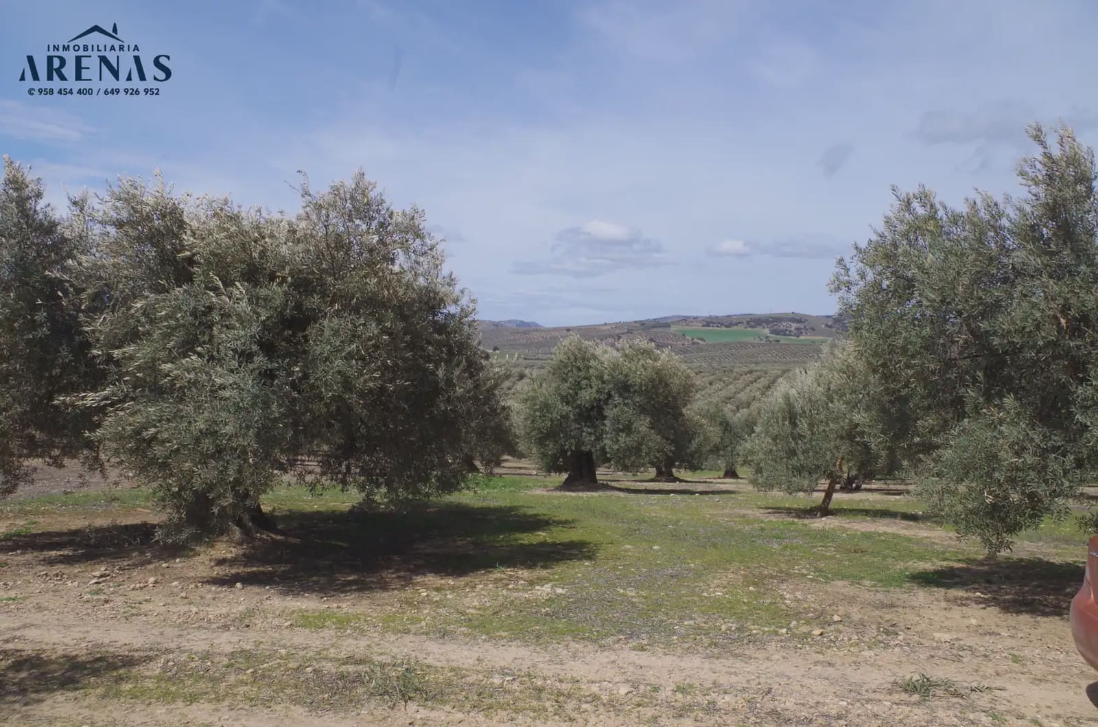 Landgrundstück zu verkaufen in Illora - 26.000 € (Ref: 10047803)