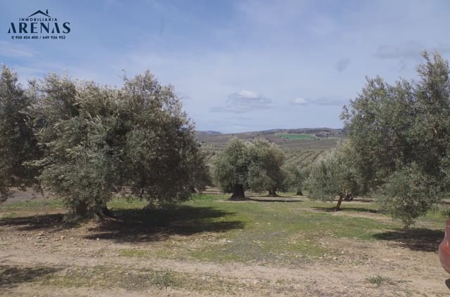 Ubebygd land til salgs i Illora - € 26 000 (Ref: 10047803)