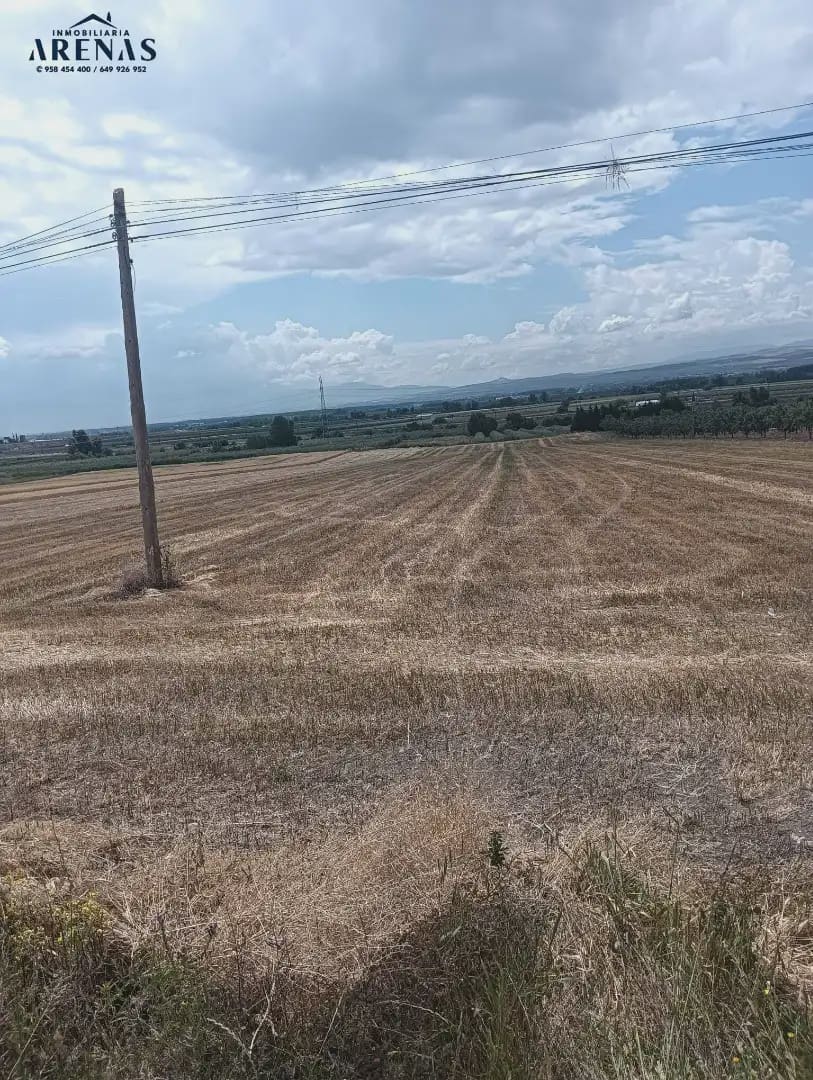 Mark till salu i Pinos Puente - 34 000 € (Ref: 10047805)