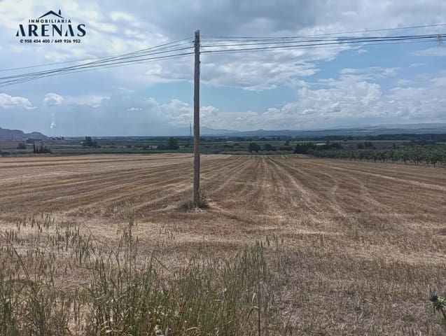 Terreno Non Edificato in vendita in Pinos Puente - 34.000 € (Rif: 10047805)