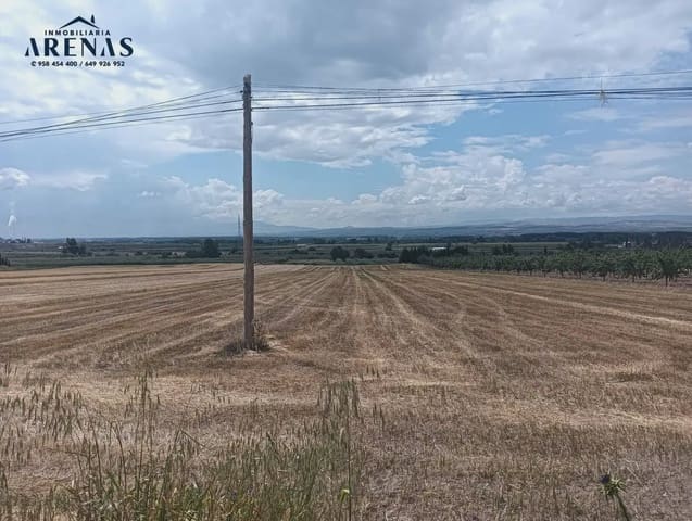 Terreno Non Edificato in vendita in Pinos Puente - 34.000 € (Rif: 10047805)