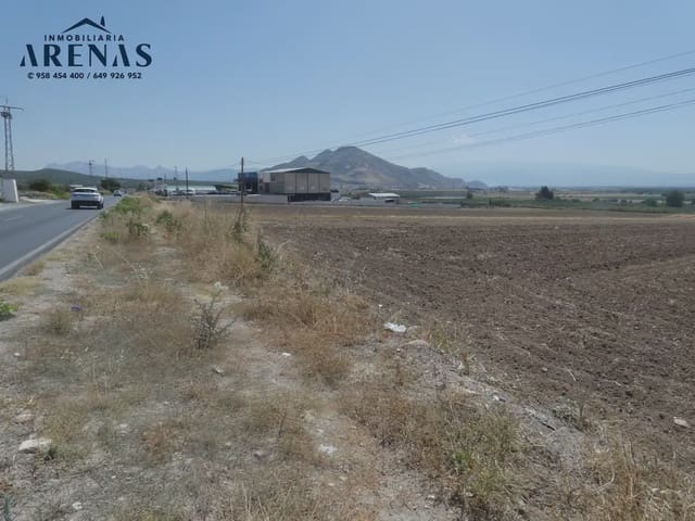 Terreno Non Edificato in vendita in Pinos Puente - 32.000 € (Rif: 10047806)