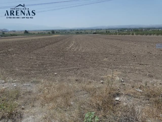 Terreno Non Edificato in vendita in Pinos Puente - 32.000 € (Rif: 10047806)
