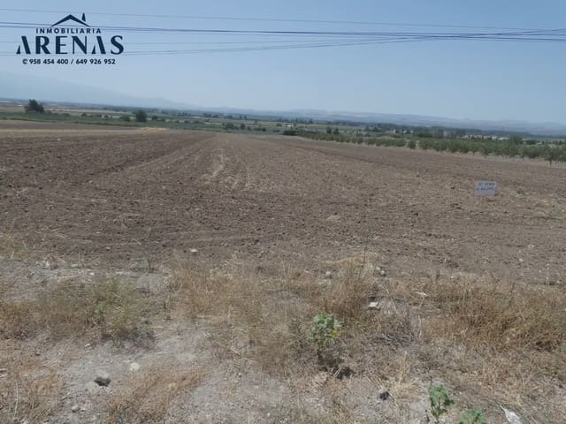 Terreno Non Edificato in vendita in Pinos Puente - 32.000 € (Rif: 10047806)