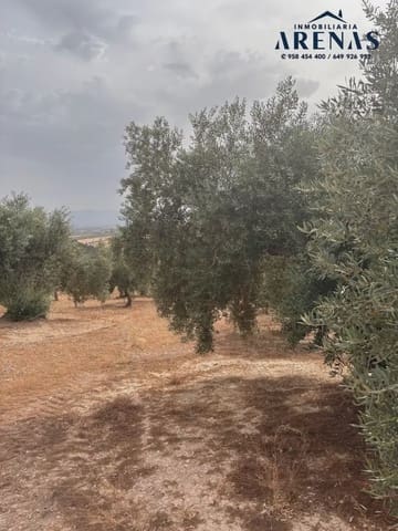 Ubebygd land til salgs i Illora - € 25 000 (Ref: 10047809)