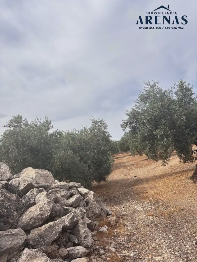 Landgrundstück zu verkaufen in Illora - 25.000 € (Ref: 10047809)