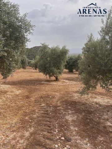 Ubebygd land til salgs i Illora - € 25 000 (Ref: 10047809)