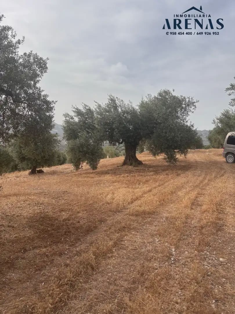 Landgrundstück zu verkaufen in Illora - 25.000 € (Ref: 10047809)