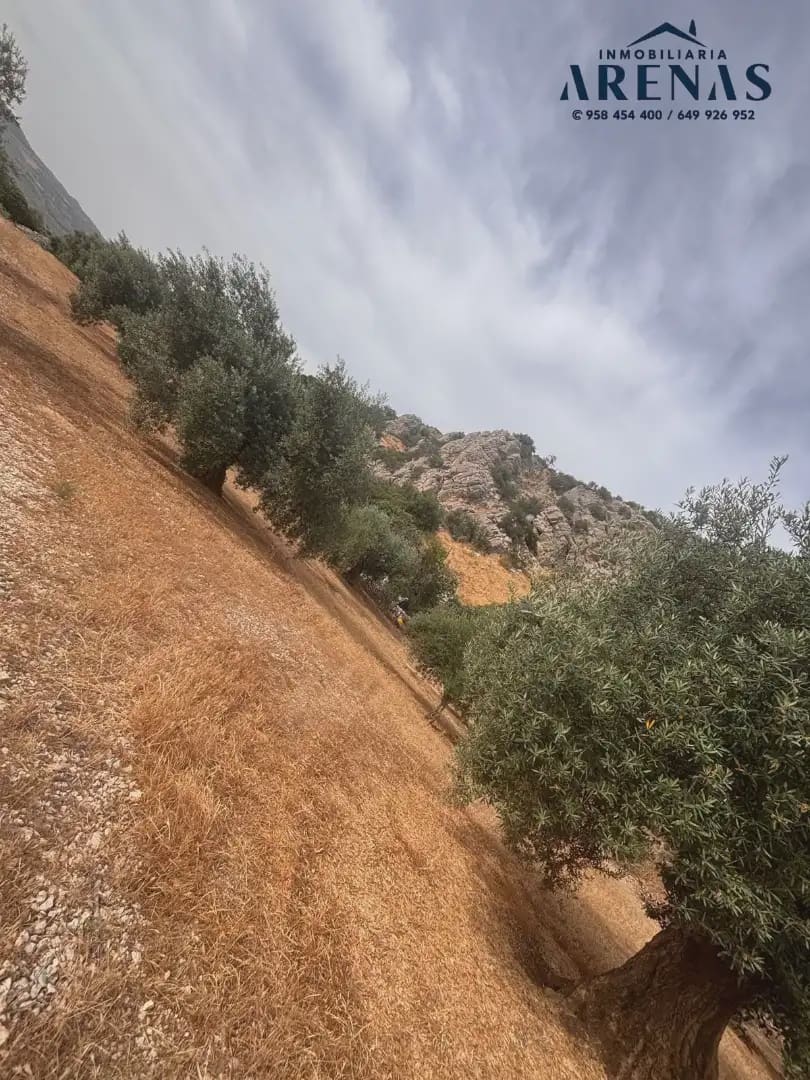 Landgrundstück zu verkaufen in Illora - 25.000 € (Ref: 10047809)
